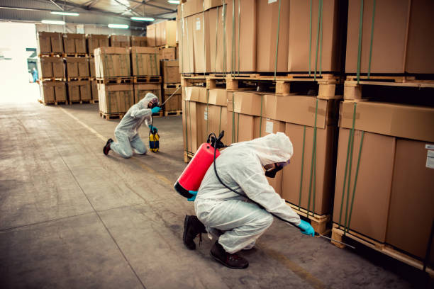 Best Affordable Pest Control Services  in Copperopolis, CA