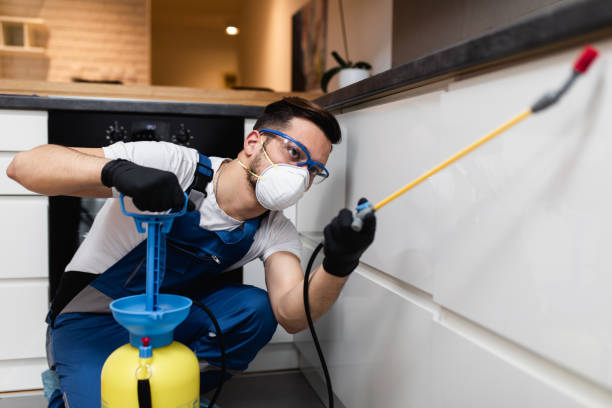 Best Rat Extermination Near Me  in Copperopolis, CA