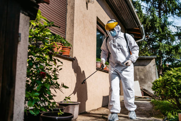 Best Exterminator Services  in Copperopolis, CA