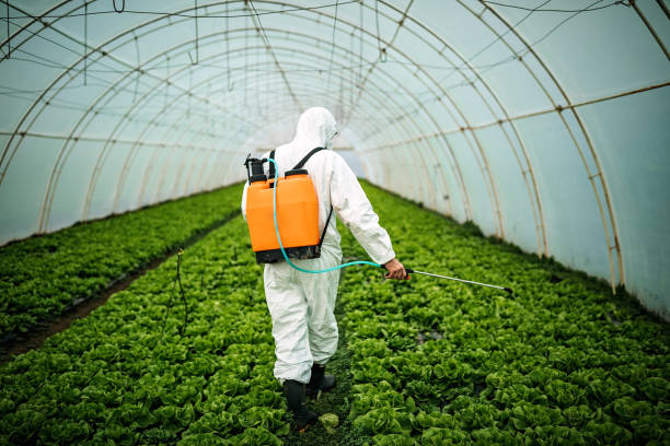Best Ant Control Services  in Copperopolis, CA