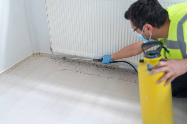 Best Pest Removal Services  in Copperopolis, CA